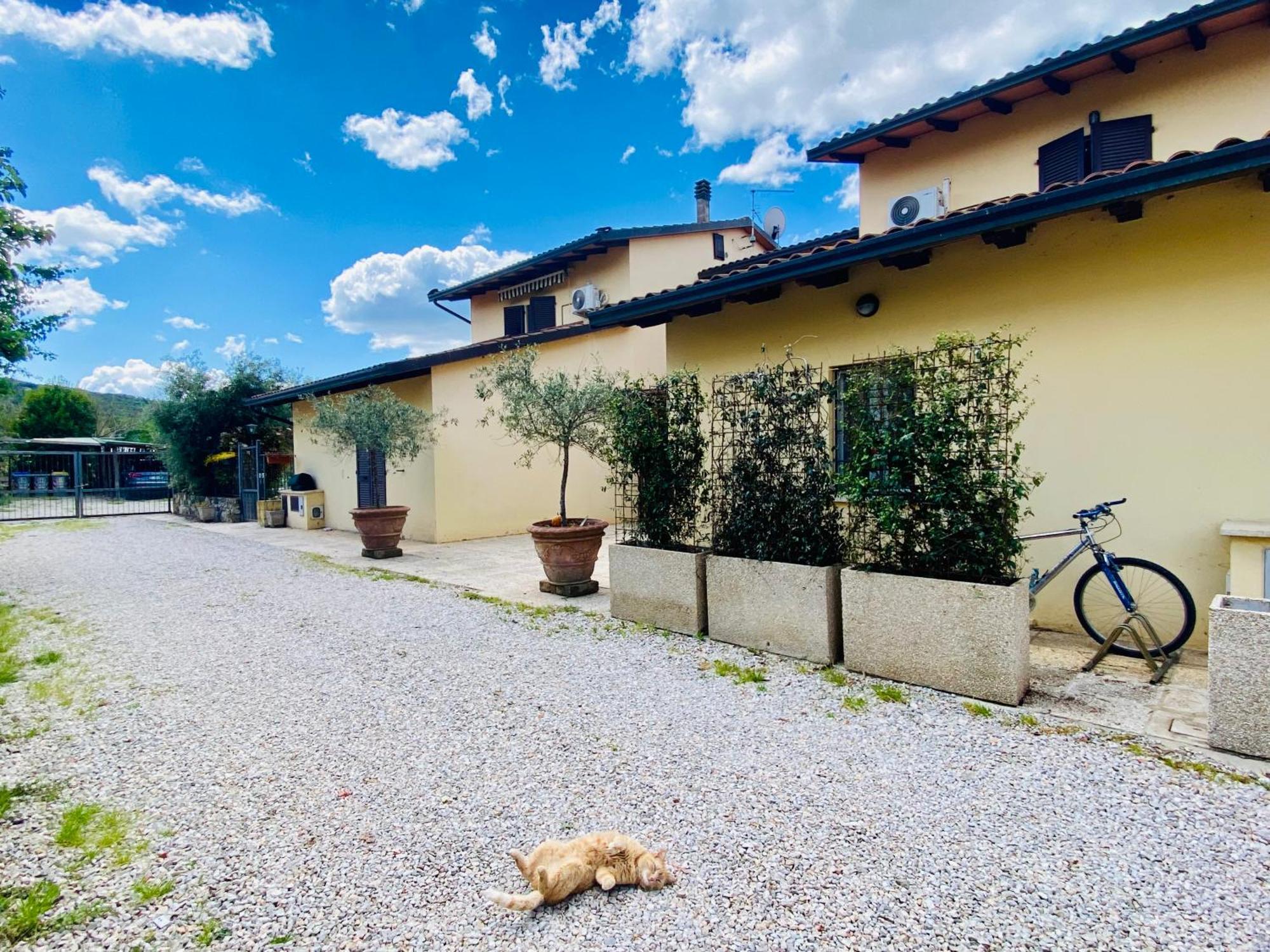 Casa Vacanze Barbara SantʼArcangelo Екстериор снимка